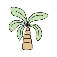 Palm tree in doodle style. vector