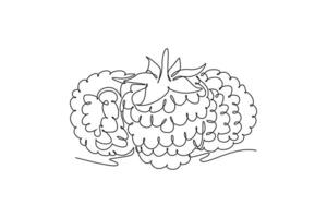 Single continuous line drawing whole healthy organic raspberry for orchard logo identity. Fresh berry fruitage concept for fruit garden icon. Dynamic one line draw graphic design illustration vector