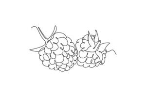 Single continuous line drawing whole healthy organic raspberry for orchard logo identity. Fresh berry fruitage concept for fruit garden icon. Dynamic one line draw graphic design illustration vector