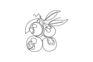 Continuous one line drawing of whole healthy organic blueberries for orchard logo identity. Fresh blue berry fruitage concept for fruit garden icon. Single line draw design graphic illustration vector