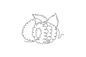 Single continuous line drawing half sliced healthy organic raspberry for orchard logo identity. Fresh berries fruitage concept for fruit garden icon. One line draw graphic design illustration vector