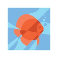 ILLUSTRATION 154, GEOMETRIC ILLUSTRATION OF DISCUSS FISH vector