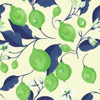 Summer seamless pattern with creative limes on branch and leaves, flowers buds on a light background. hand drawing. Abstract artistic blooming fruits illustration for printing. vector