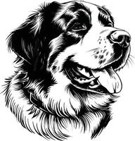 St. Bernard dog clipart, St. Bernard black vector