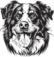 Australian Shepherd dog clipart, Australian Shepherd black vector