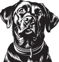 Labrador perdiguero perro clipart, Labrador perdiguero negro vector