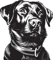 Labrador Retriever dog clipart, Labrador Retriever black vector