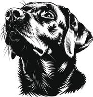 Labrador Retriever dog clipart, Labrador Retriever black vector
