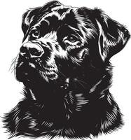 Rottweiler perro clipart, Rottweiler negro vector