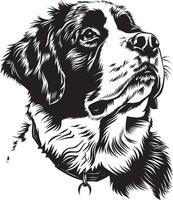 St. Bernard dog clipart, St. Bernard black vector