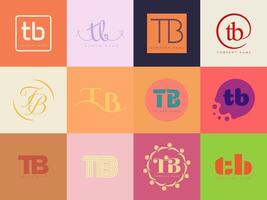 TB logo company template. Letter t and b logotype. Set different classic serif lettering and modern bold text with design elements. Initial font typography. vector
