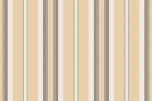 Vertical lines stripe background. stripes pattern seamless fabric texture. Geometric striped line abstract design. vector
