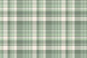 Texture background plaid of seamless pattern with a textile tartan fabric check. vector