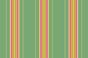 stripe fabric of texture pattern seamless with a textile lines vertical background. vector