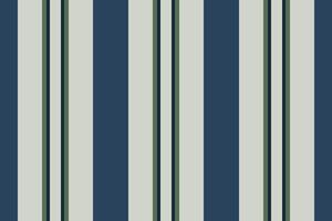 Seamless fabric textile of stripe lines texture with a pattern background vertical. vector
