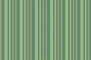 Pattern texture seamless of vertical textile with a stripe fabric lines background. vector