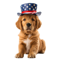 A Golden retriever wearing an american flag hat on a transparent background png