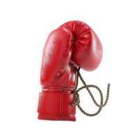 Boxing gloves on a transparent background png