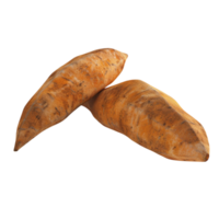 twee zoet aardappelen Aan een wit achtergrond png