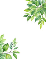 Leaves branch Clipart, rectangle frame background png