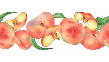 Watercolor chines fig peaches and leaves seamless border isolated on white. Whole ripe fruits painting. Flat peach hand drawn. Design element for package, label, kitchen, skin care cosmetic, juice vector