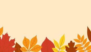 Autumn leaves border. Horizontal banner or background decorated with multicolored leaves. Flat illustration vector