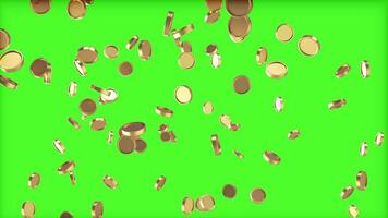 Gold coins falling animation 3d motion on green background. Money drop 3d animation video