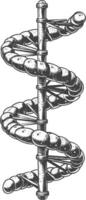 gene DNA mutation symbol with engraving style black color only vector