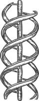 gene DNA mutation symbol with engraving style black color only vector