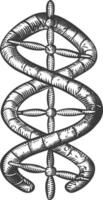 gene DNA mutation symbol with engraving style black color only vector