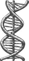 gene DNA mutation symbol with engraving style black color only vector