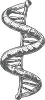 gene DNA mutation symbol with engraving style black color only vector