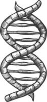 gene DNA mutation symbol with engraving style black color only vector