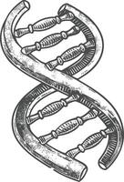 gene DNA mutation symbol with engraving style black color only vector