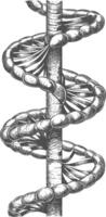 gene DNA mutation symbol with engraving style black color only vector