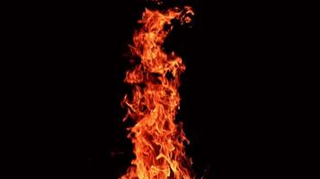 Long pillar of red flame going up into the air. Beautiful spots of sparkles flying from the fire. Black backdrop. video