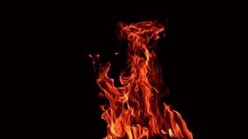 piezas de madera ardiente en un grande hoguera. grande lenguas de fuego creciente arriba en el oscuridad. video