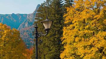 schwarz Straße Lampe in der Nähe von das schön Bäume mit bunt Laub. hoch Berge auf sonnig Tag beim Hintergrund. video