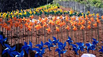 van kleurrijk tuin met pinwheels roterend gelijktijdig wanneer geblazen door de wind. pinwheel tuin en amusement park in bandoeng, Azië. reizen bestemmingen. 4k resolutie 30 fps video