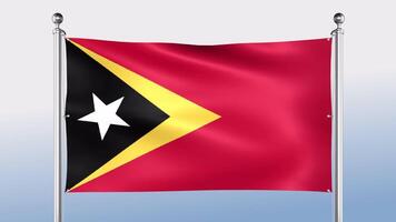 este Timor bandera cuelga en el polo en ambos lados video