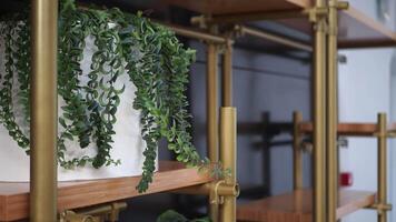 Achieve a trendy vibe with industrial shelving, greenery, and brass pipes for chic interior design video