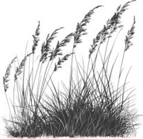 Grass natural as background with engraving style black color only vector