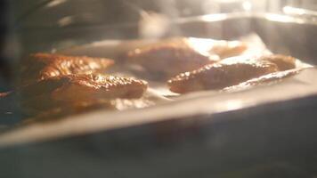 vers gebakken gebakjes in oven detailopname binnen visie, aroma en structuur looks smakelijk video