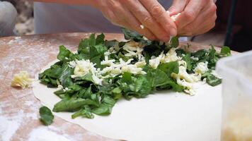 Person preparing spinach and cheese filling for pastry, cooking homemade vegetarian meal video