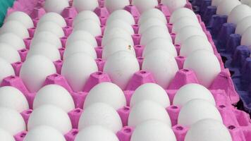 close-up van eieren in een kom. video