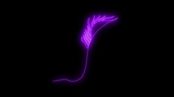 Self drawing animation one continuous line draw, logo, peacock feather,neon purple luminous sign video