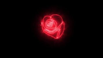 Self drawing animation one continuous line draw, logo, burning red rose video