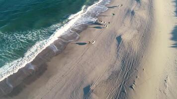 aerial drone of a group of surfers walking along the beach shore video