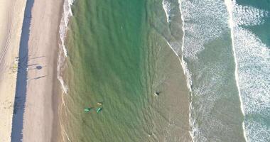 aéreo do uma descendente de praia com surfistas em a costa video