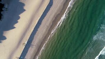 drone aerial view of a group of surfers walking along the shore of the beach with their surfboards. video